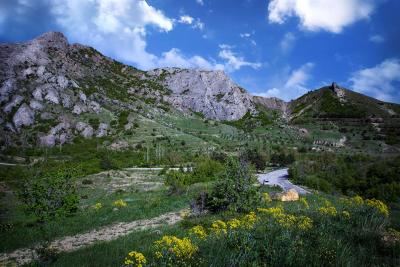 Прикрепленное изображение: IMG_8175м.jpg